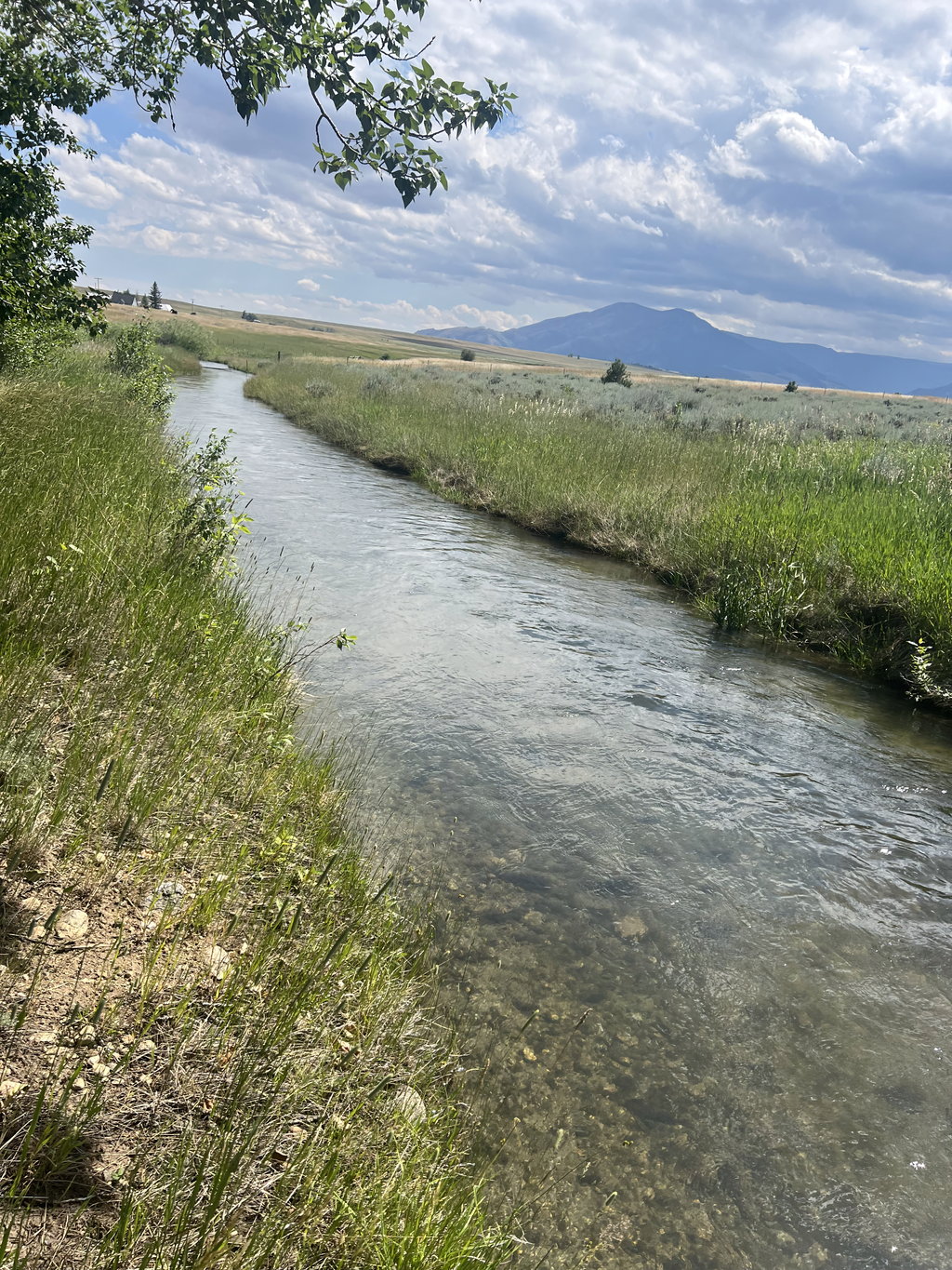 Pleasant Valley Canal: spring runoff at East Bench Overlook near Red Lodge, Montana
