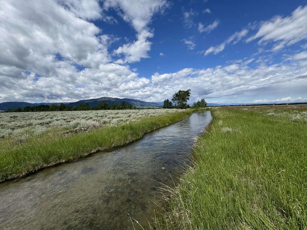 Pleasant Valley Canal: clear water through meadow at East Bench Overlook near Red Lodge, Montana