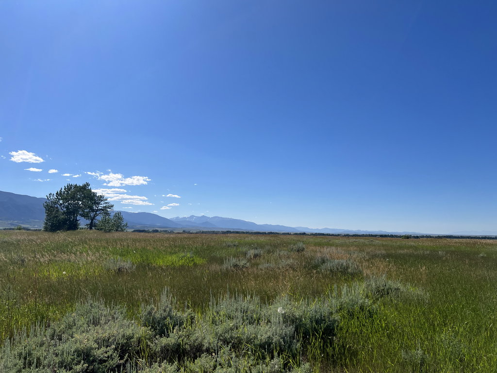 The Bench: sagebrush hillside at East Bench Overlook near Red Lodge, Montana
