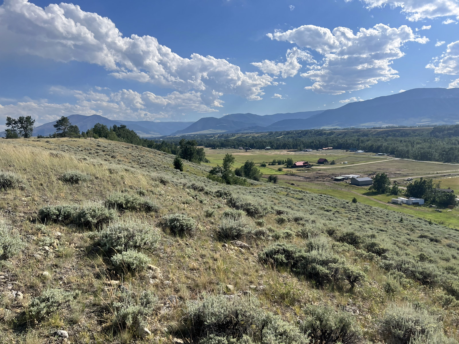 Green pasture and sagebrush bench rising toward the Beartooth Front at East Bench Overlook near Red Lodge, Montana