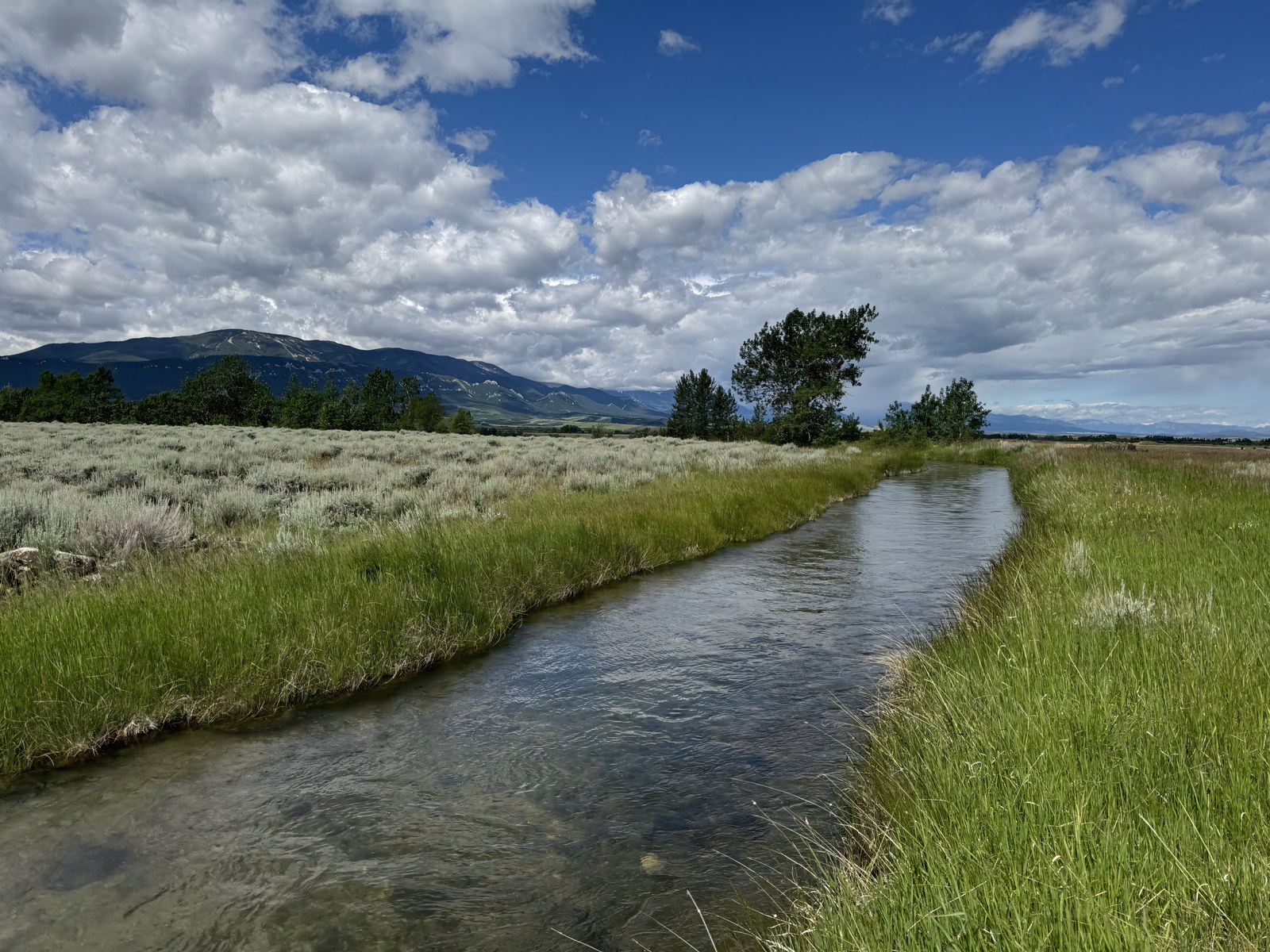 Creek winding through green grassland under the Beartooth Range at East Bench Overlook