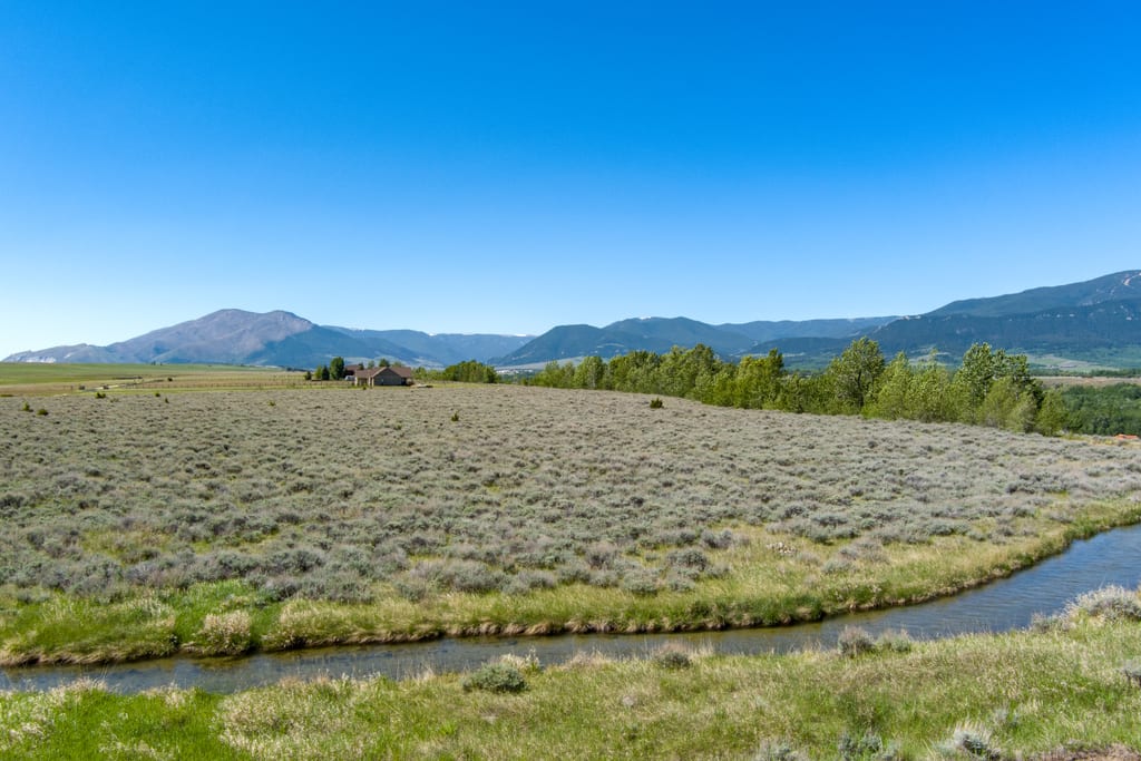 Cottonwood trees and water along the Pleasant Valley Canal at Lot 3